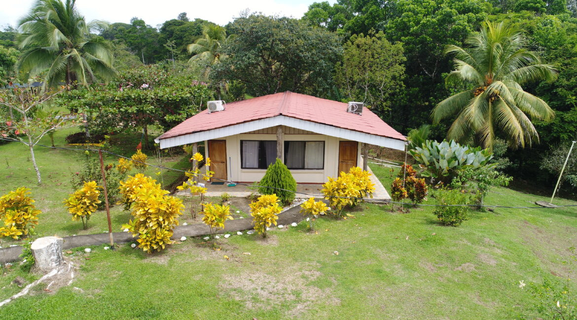 Hope Garden in pictures