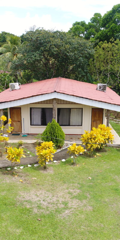 Hope Garden in pictures