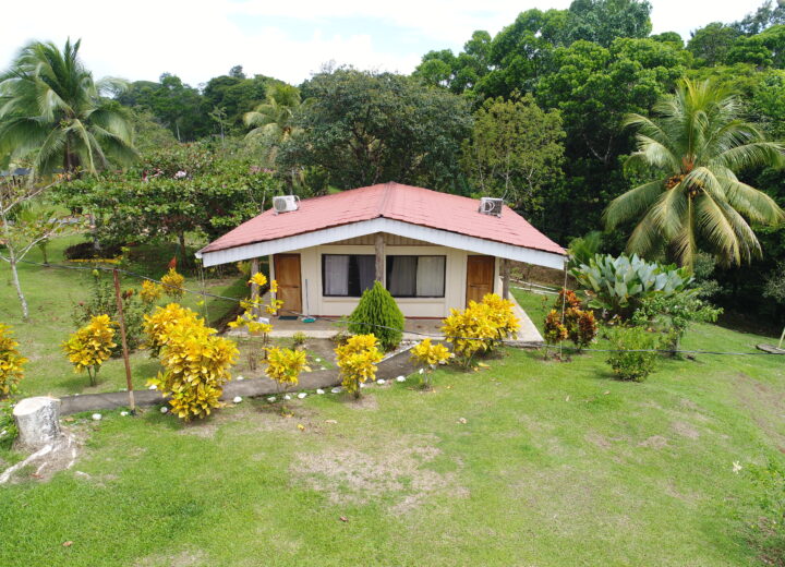 Hope Garden in pictures